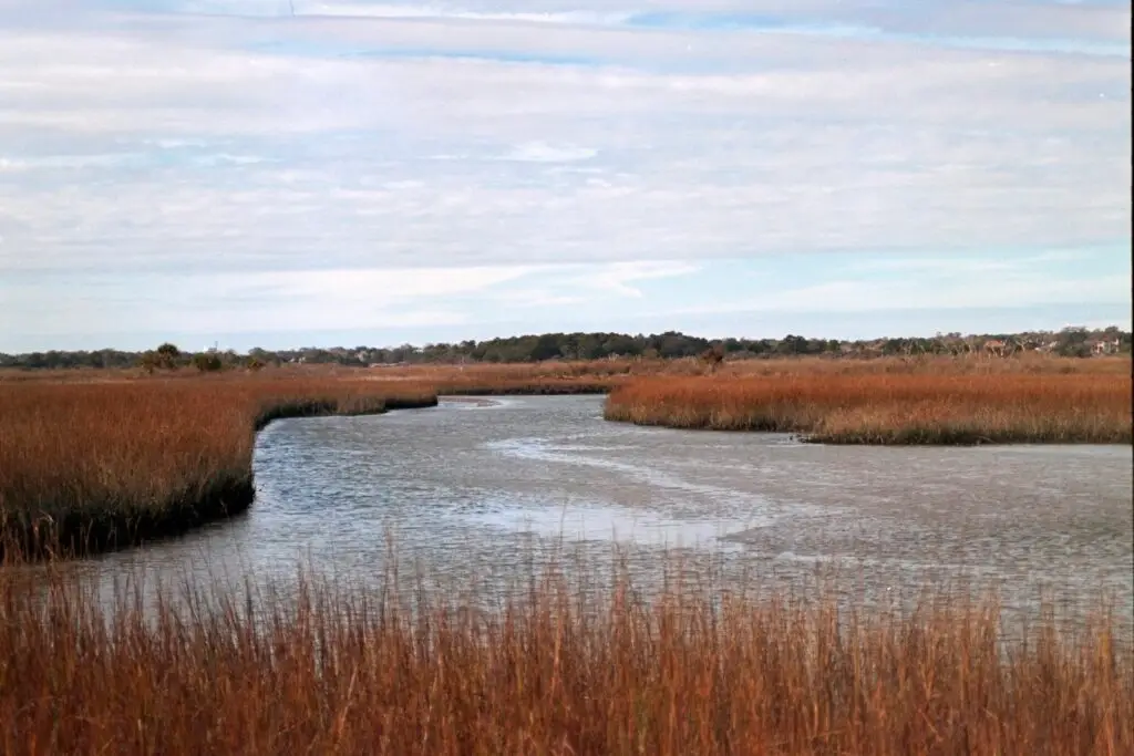 Un río sinuoso entre hierbas doradas bajo un cielo nublado